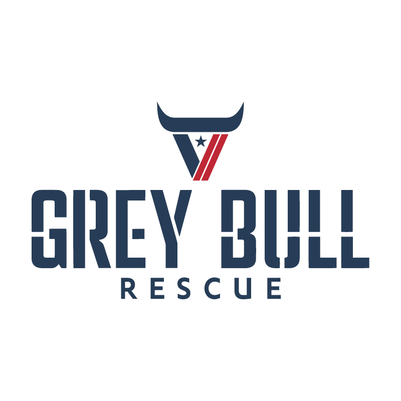 Grey Bull Rescue